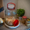 Tarro de 10L con tapa de plástico - 7 