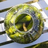 Tarro multifuncional, 5L para fermentación - 5 