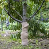 Tela de yute 20cm/5m - 5 