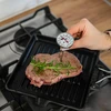 Termómetro de cocina con gráfico (0/100C) 12,5cm - 4 