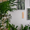 Termómetro de habitación con diseño (-20/50C) 15cm - 6 