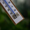 Termómetro de habitación con escala blanca (-30/50C) 20cm - 4 