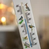 Termómetro univ. con gráfico - pájaros (-30/50C) 20cm - 4 