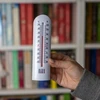 Termómetro universal (-40/50C) 16cm - 3 