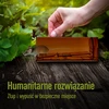 Trampa para ratones – trampa viva, transparente, 2 uds. - 7 