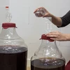 Tubo de fermentación de 6 cámaras v2 - 10 