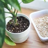 Vermiculita 2L - 8 