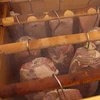 Virutas para ahumar (100% Haya) cl 2 - 450g X5 - 11 