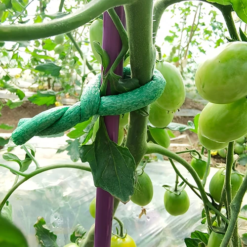 Alambre de jardín recubierto con esponja, verde, 10 m, fi 10mm - 4