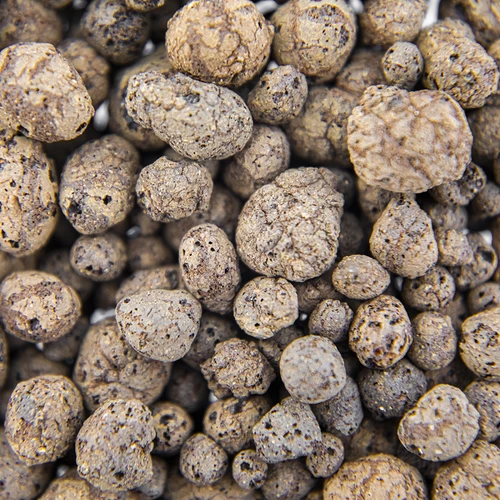 Arcilla expandida 4-10mm 1L - 5