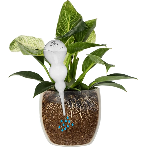 Bola de riego triple (tres cámaras), transparente e incolora, 600 ml - 3