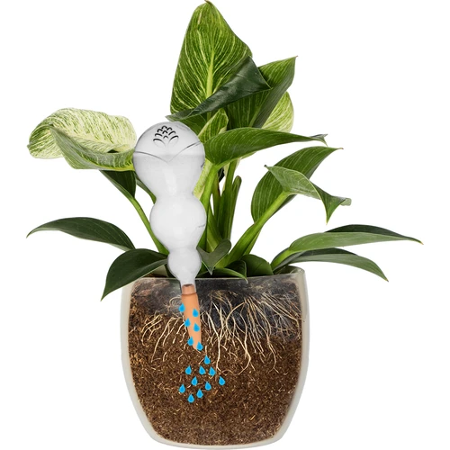 Bola de riego triple (tres cámaras), transparente incolora, con pie de cerámica, 600 ml - 3