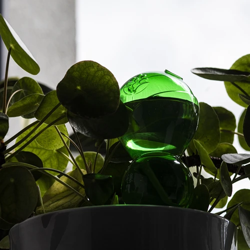 Bola de riego triple (tres cámaras), verde transparente con pie de cerámica, 600ml - 7