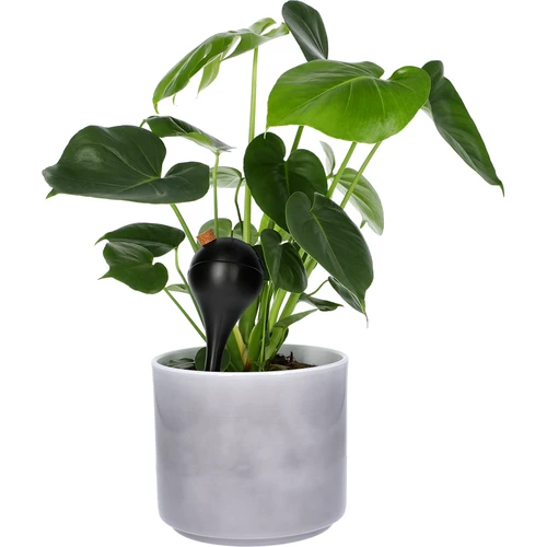 Bolas de riego NEGRAS con tapón 4 piezas - 7