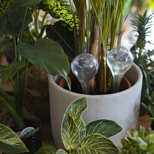Bolas de riego TRANSPARENTES 2uds. - 9