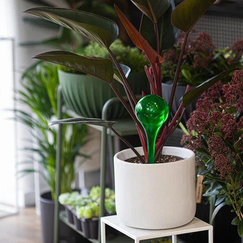 Bolas de riego TRANSPARENTES VERDES 2 uds. - 10