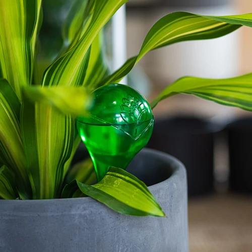 Bolas de riego TRANSPARENTES VERDES 4 uds. - 10