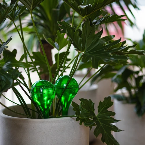 Bolas de riego TRANSPARENTES VERDES 4 uds. - 12