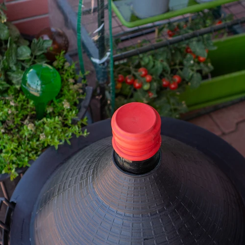 Capucha para globos con cuello estrecho fi65 - 3