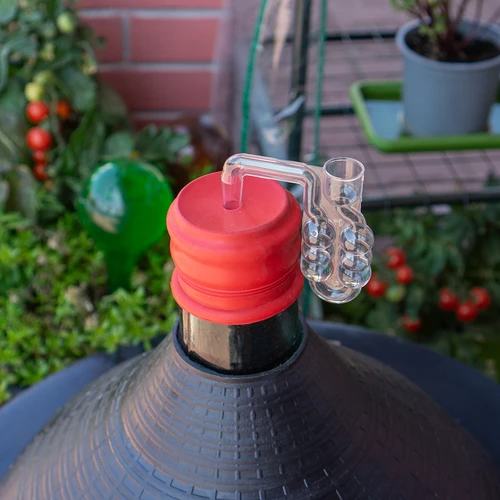 Capucha para globos con cuello estrecho fi65 - 4