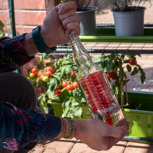 Cepillo para botellas 0,5 L - 3