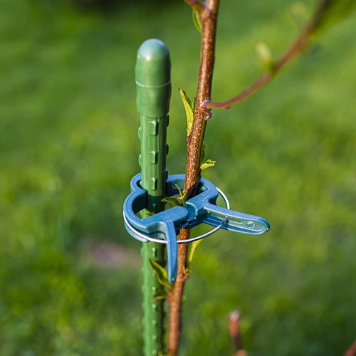Clips para sujetar plantas 20 piezas (8x grandes/12x pequeñas) - 9