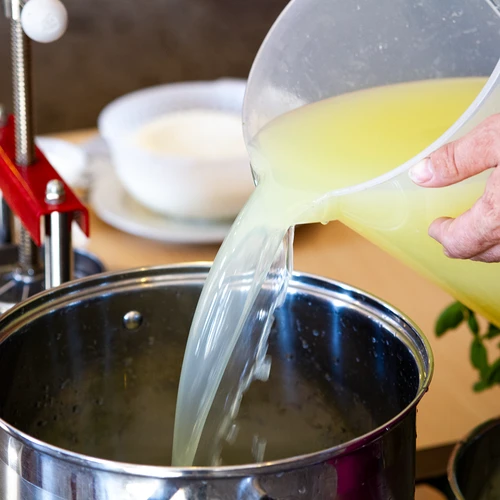 Cloruro de calcio para queso, 10 g - 10