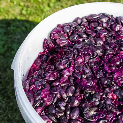 Contenedor de fermentación 30L con tapa, grifo y tubo UA - 15