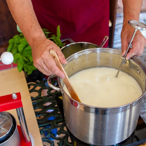 Cuajo natural para queso en líquido 50 ml - 5