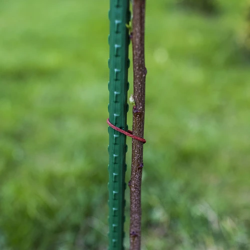 Estaca de acero recubierta de PE 1,8mx11mm (10 uds) - 5