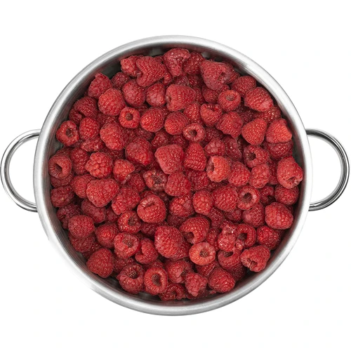 Extractor de jugo inoxidable 8 L - 11