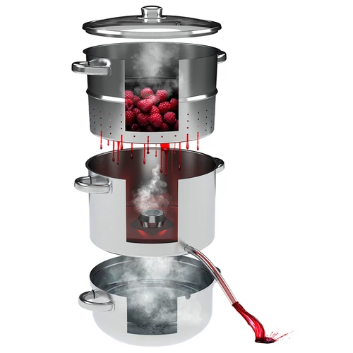 Extractor de zumo al vapor de acero inoxidable 8 L - 4