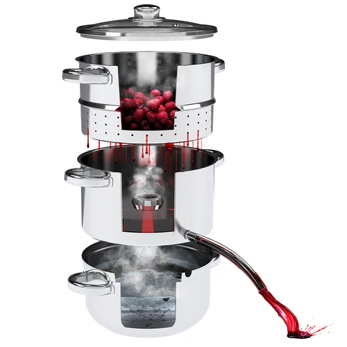 Extractor de zumos al vapor de acero inoxidable con vaporera, 5 L - 5