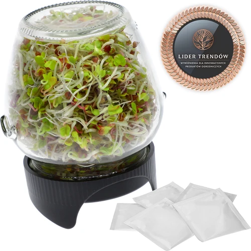 Germinador de frascos Twist-off + 5 semillas  - 1 
