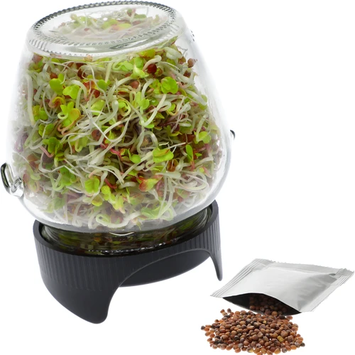 Germinador de tarro Twist-off + semillas - 2