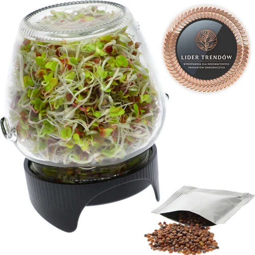 Germinador de tarro Twist-off + semillas  - 1 