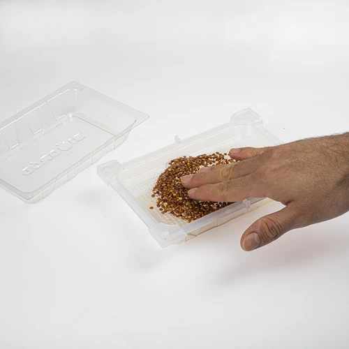 Germinador Zielona Czuprynka + semillas - 6