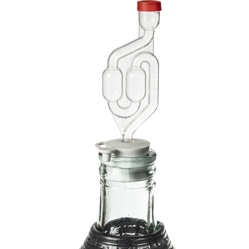 Globo para vino 10L en cesta de plástico - 3