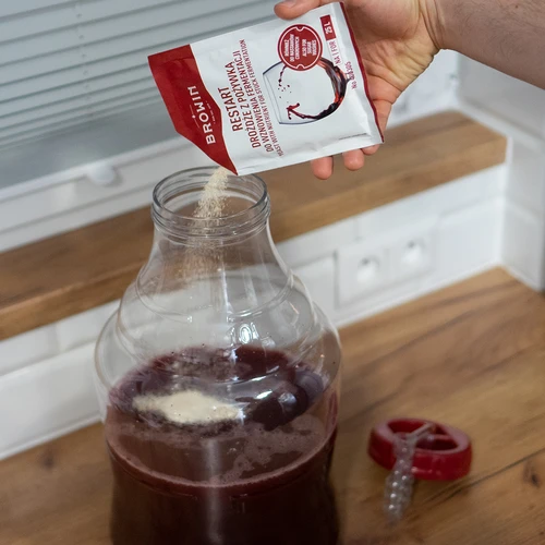 Levadura Restart - 22 g - 4