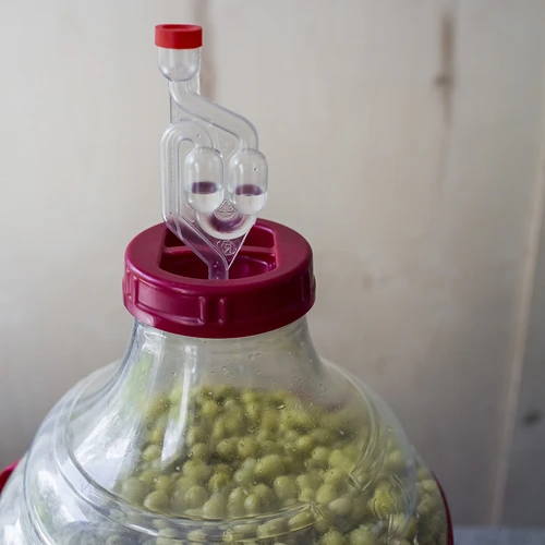 Levadura Restart - 22 g - 6