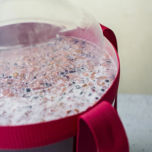 Levadura Restart - 22 g - 8