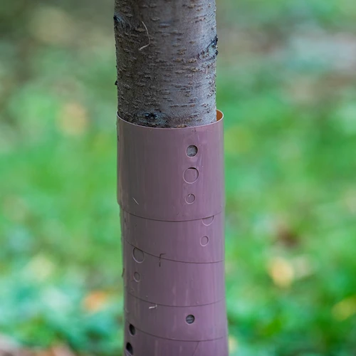Protector de árboles - espiral - fi 3,5 x 80 cm - 3
