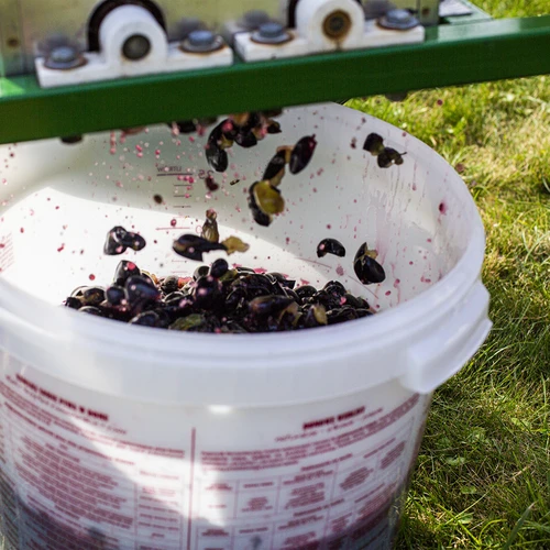 Recipiente de fermentación con tapa 30L - 18