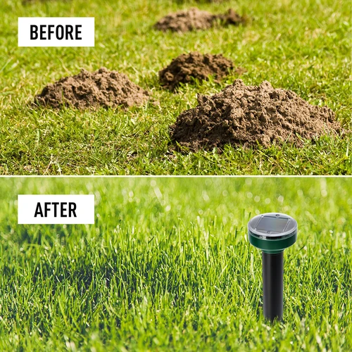Repelente solar de topos – protección eficaz, segura y humanitaria para el jardín, conjunto de 4 piezas. - 13