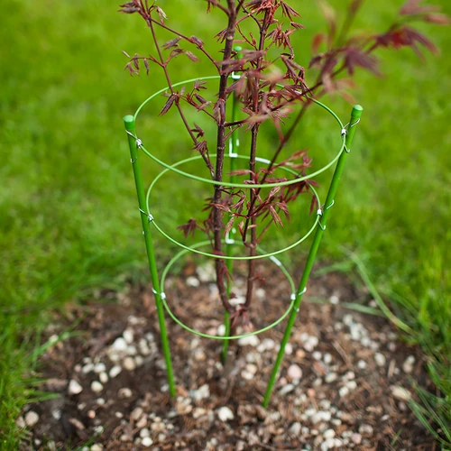 Soporte de anillo para plantas 3 anillos 1,5m - 3