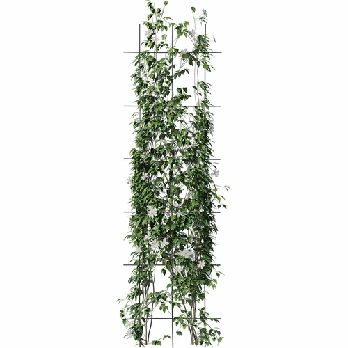 Soporte para plantas - enrejado (150cm x 45cm) 3 piezas - 3