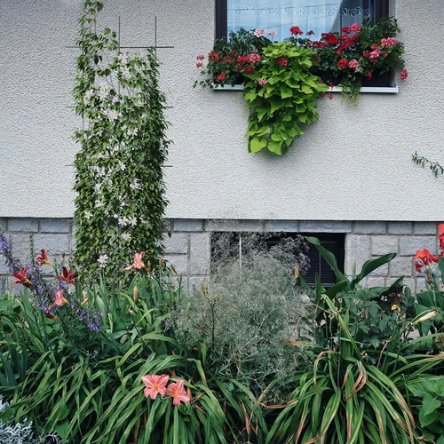 Soporte para plantas - enrejado de jardín 150 x 45cm - 4