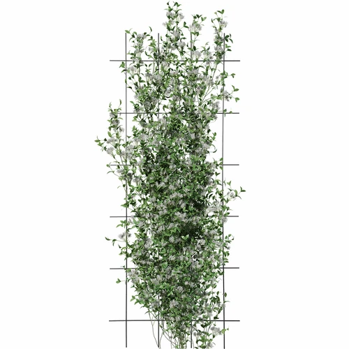 Soporte para plantas – enrejado de jardín 150 x 60cm - 3