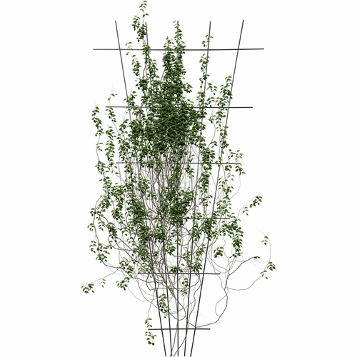 Soporte para plantas - enrejado de jardín estrechado 150 x 75cm - 3