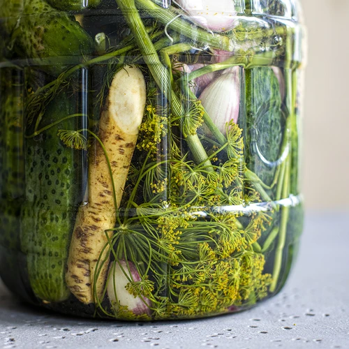 Tarro irrompible y multifuncional para fermentación de 3L - 8